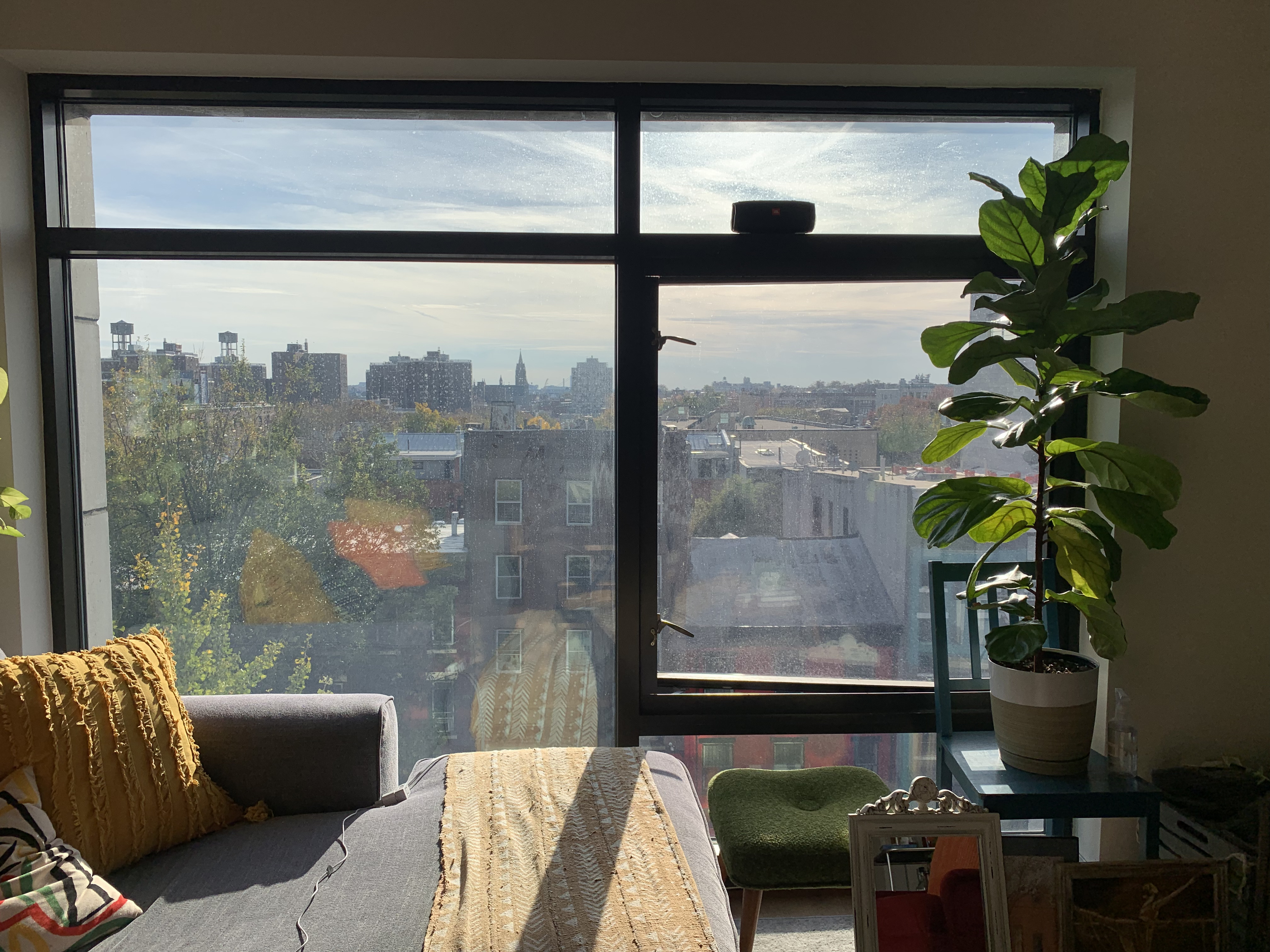 A Sunday Morning in Adult Brooklyn